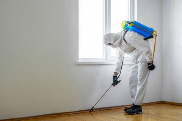 Best Affordable Pest Control Services  in West Bend, WI