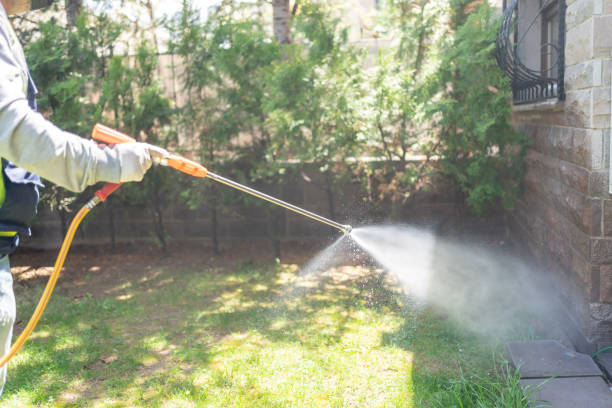 Best Local Pest Control Services  in West Bend, WI