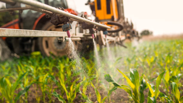 Best Wildlife Control Services  in West Bend, WI